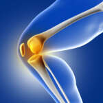 3D blue medical image of knee bone